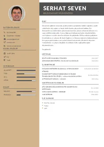 Bilgisayar Mühendisi CV Örnekleri cv indir